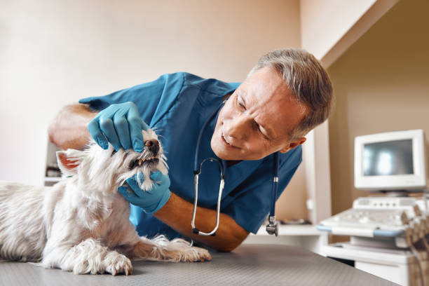 Best Emergency Denture Repair in Tenafly, NJ