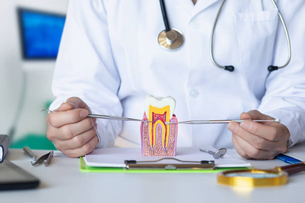 Best After-Hours Dental Trauma Care in Tenafly, NJ